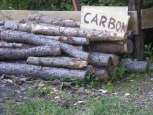 wood_carbon_web